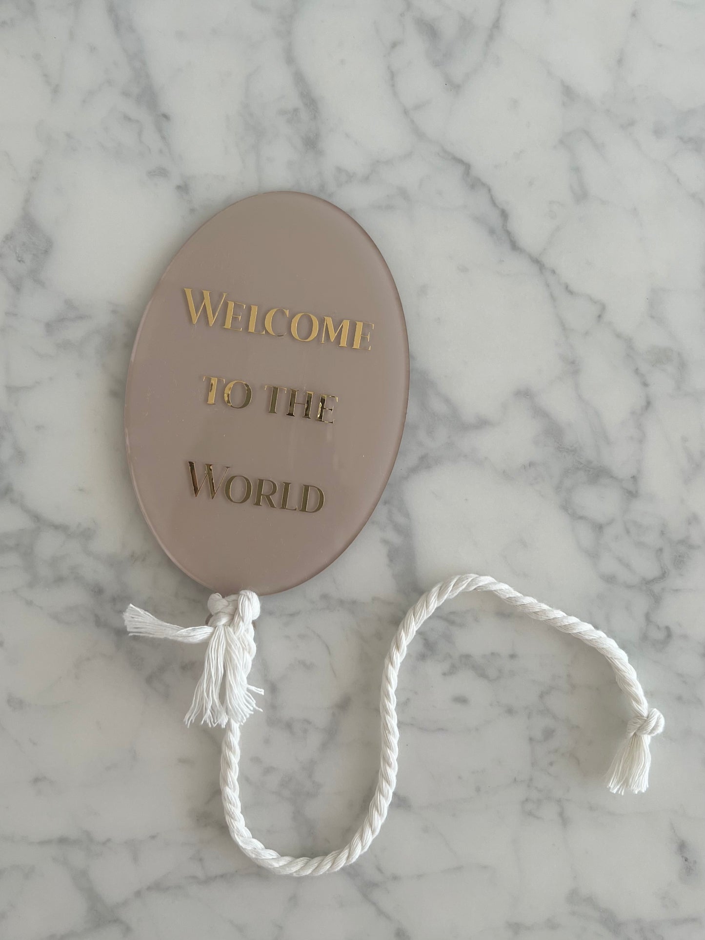 Welcome to the World - Baby Meilenstein Ballon